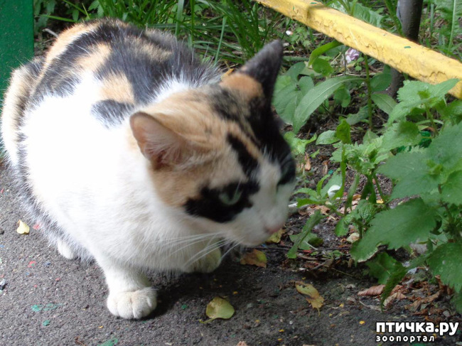 ���� 6: ����� ���������