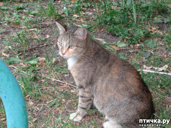 ���� 10: ����� ���������