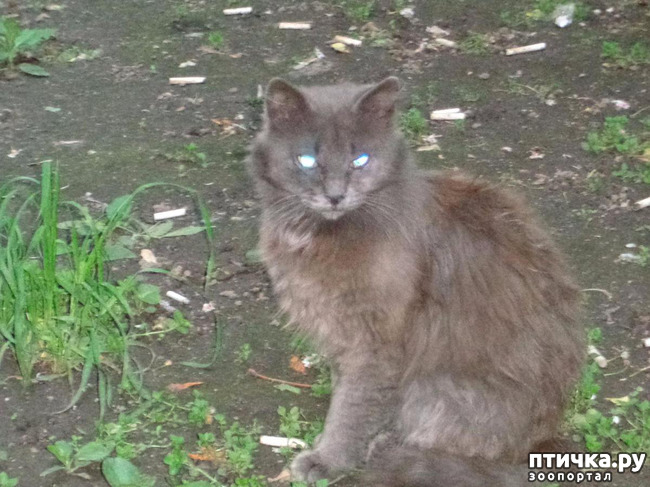 ���� 11: ����� ���������