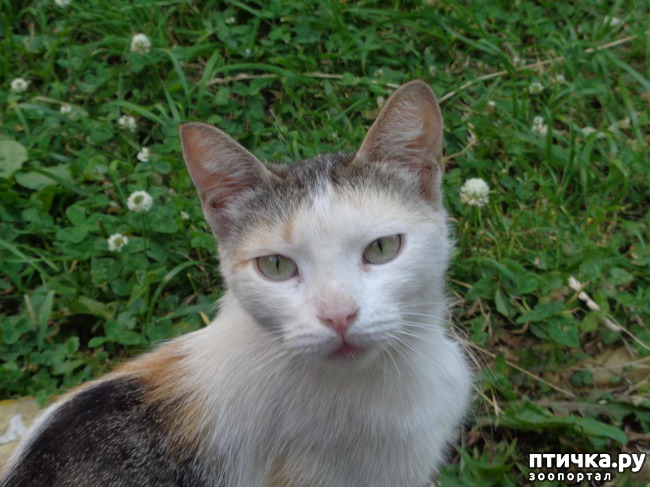 ���� 12: ����� ���������