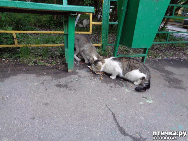 ���� 9: ����� ���������