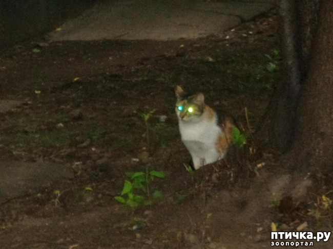 ���� 4: ����� ���������