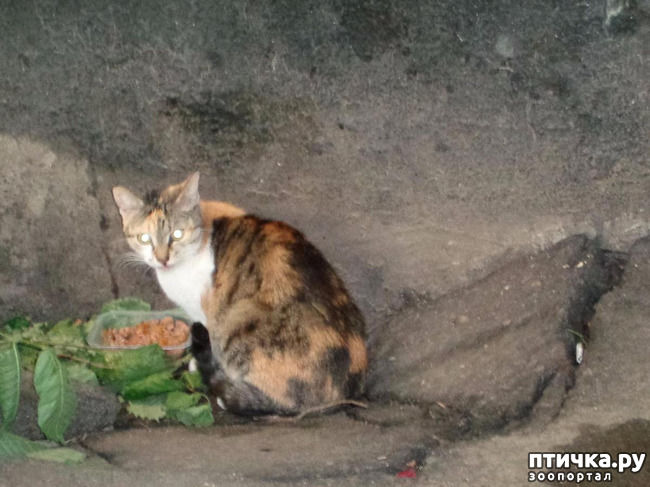 ���� 5: ����� ���������