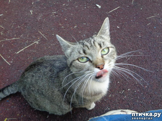 ���� 8: ����� ���������