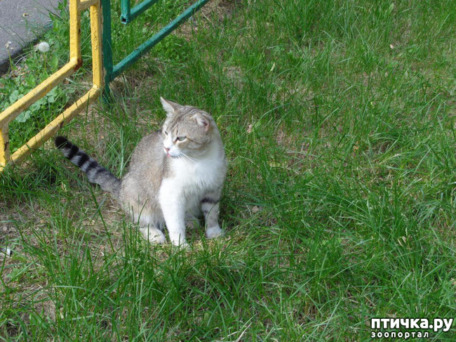 ���� 1: ����� ���������