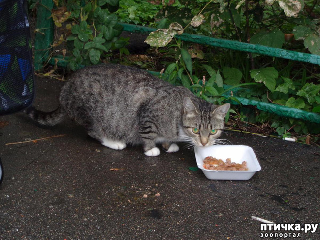 ���� 2: ����� ���������