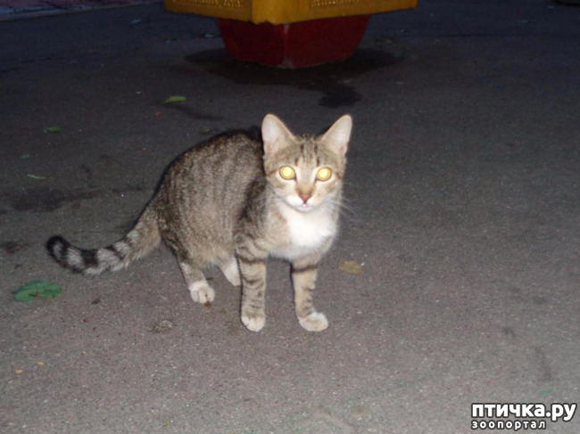 ���� 13: ����� ���������