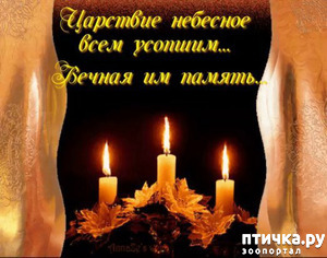 фотография: Поминальная. фото: Поминальная.