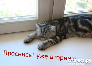 фотография: Что бы это значило? 8 Итоги. фото: Что бы это значило? 8 Итоги.