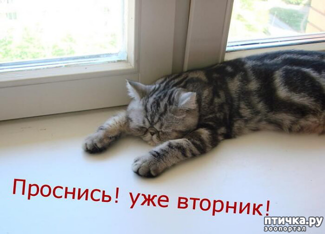 ���� 1: ��� �� ��� �������? 8 �����.