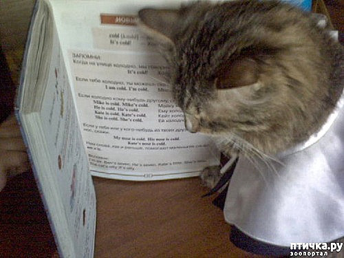 ���� 2: ��� �� ��� �������? 8 �����.