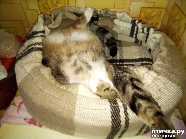 ���� 2: �������-��������