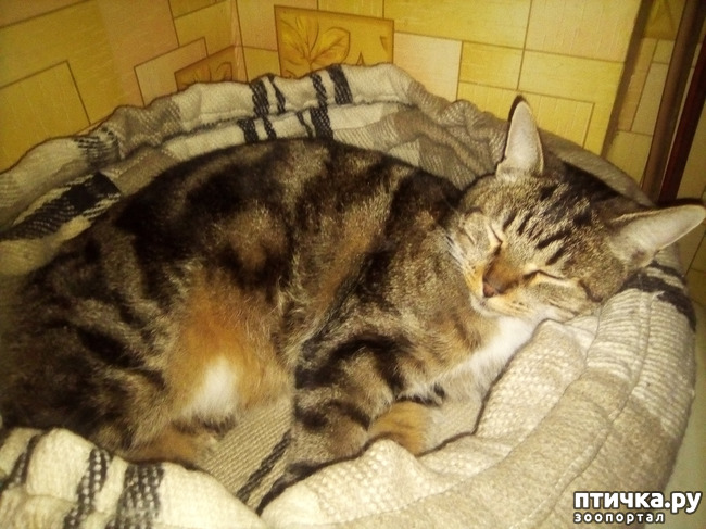 ���� 3: �������-��������