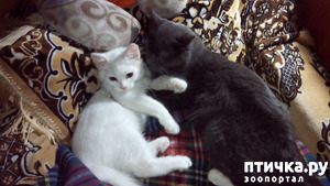 ����: �������� �� �����