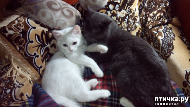 ���� 1: �������� �� �����