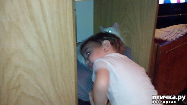 ���� 2: �������� �� �����