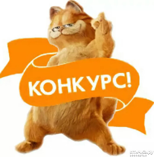 ���� 1: ��� �� ��� �������? 9