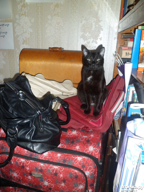 ���� 2: ��� �� ��� �������? 9