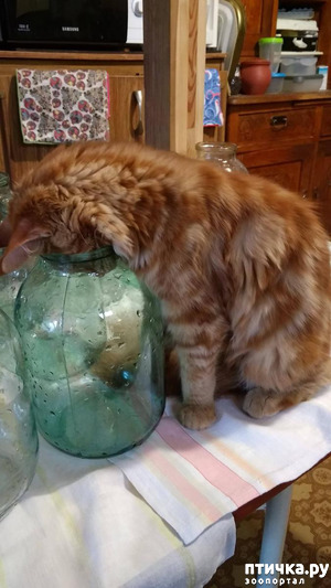 ����: �������� �����