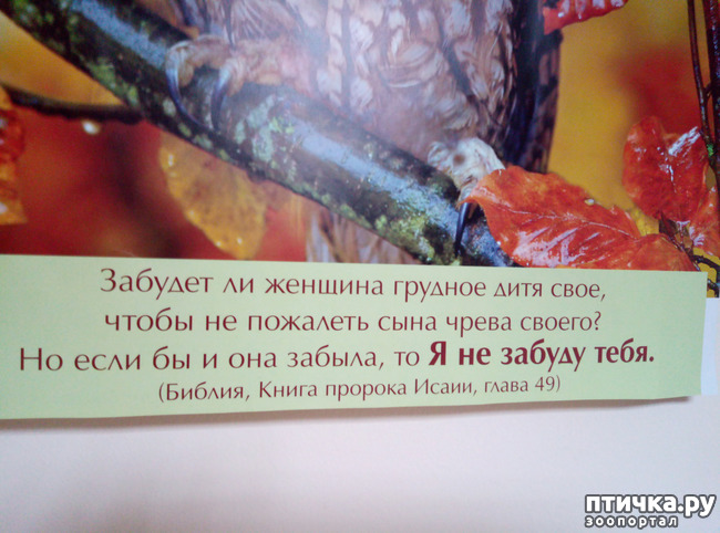 ���� 2: ������� ���������