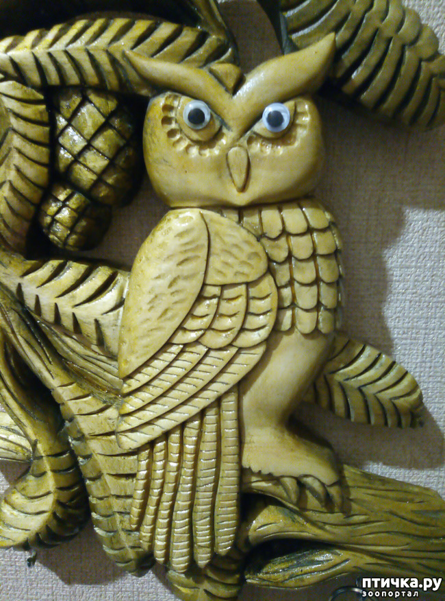 ���� 3: ������� ���������