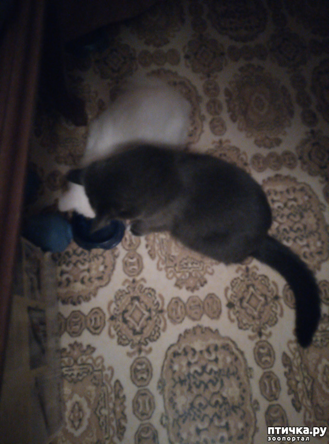 ���� 2: �������, ��� ������� �����