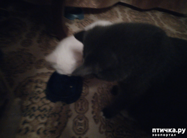 ���� 3: �������, ��� ������� �����