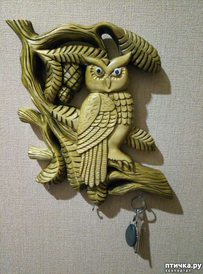 ���� 4: ������� ���������