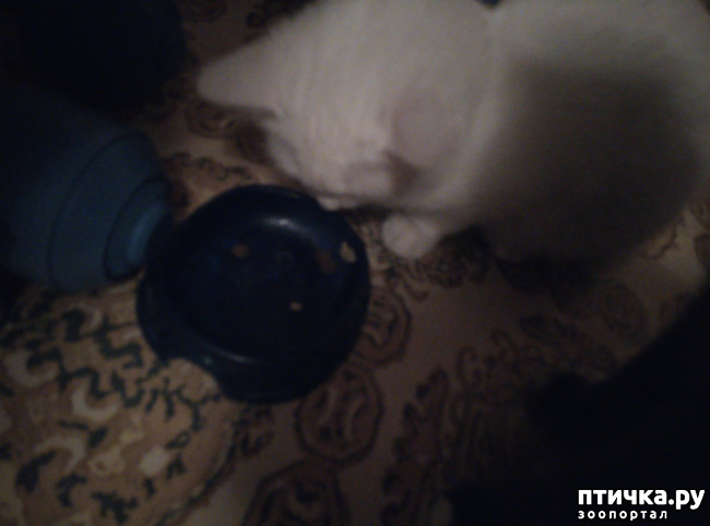 ���� 4: �������, ��� ������� �����