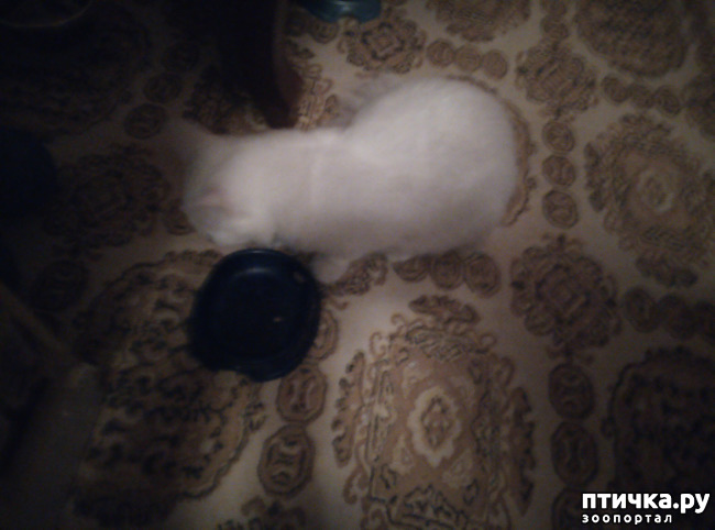 ���� 5: �������, ��� ������� �����