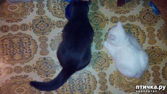 ���� 1: �������, ��� ������� �����