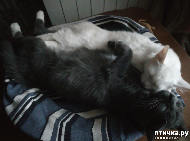 ���� 6: �������, ��� ������� �����