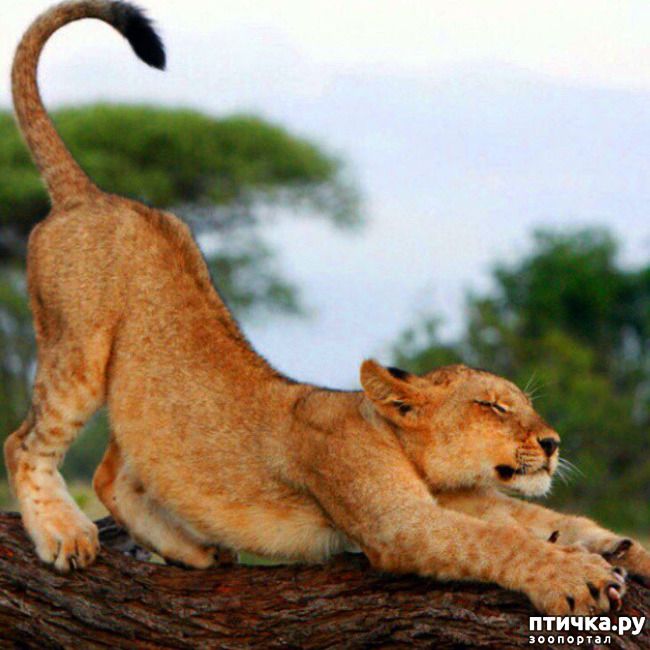 ���� 1: ������ ���� ������!