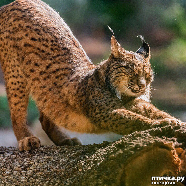 ���� 2: ������ ���� ������!