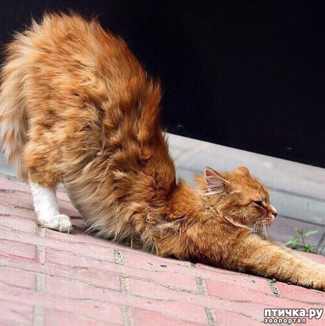 ���� 4: ������ ���� ������!