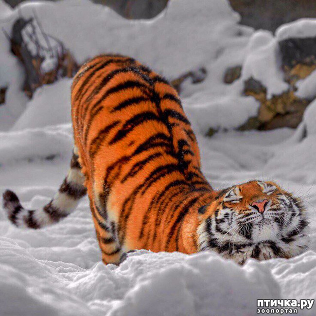 ���� 6: ������ ���� ������!