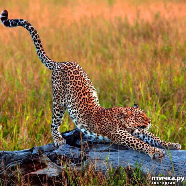 ���� 3: ������ ���� ������!