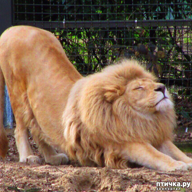 ���� 5: ������ ���� ������!