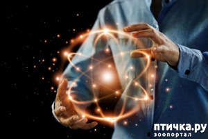 фотография: Ну и я напишу про свои эксперименты фото: Ну и я напишу про свои эксперименты