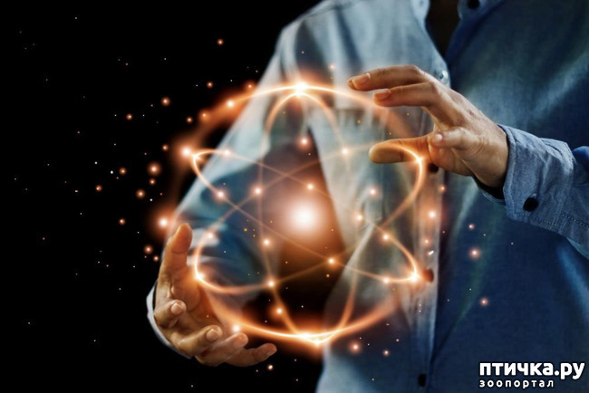 ���� 1: �� � � ������ ��� ���� ������������