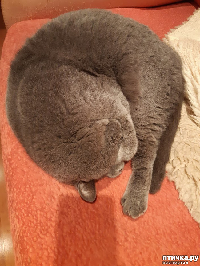 ���� 1: �� ��������, �����, �� ��������...