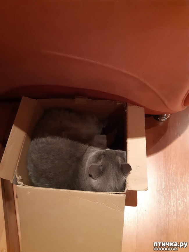 ���� 2: �� ��������, �����, �� ��������...