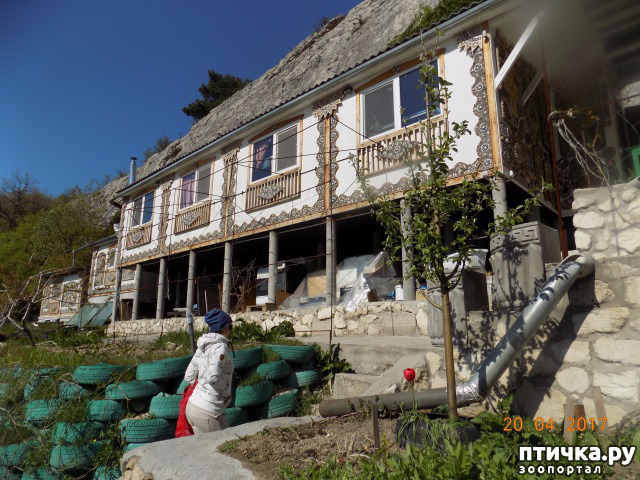 ���� 33: ����������� � ��� ������. ������ ���� ��������� ���������������.