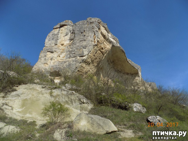 ���� 36: ����������� � ��� ������. ������ ���� ��������� ���������������.