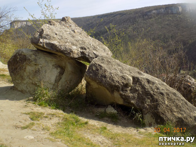 ���� 37: ����������� � ��� ������. ������ ���� ��������� ���������������.