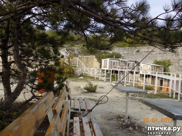 ���� 38: ����������� � ��� ������. ������ ���� ��������� ���������������.