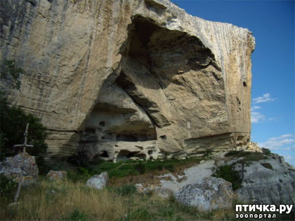 ���� 40: ����������� � ��� ������. ������ ���� ��������� ���������������.