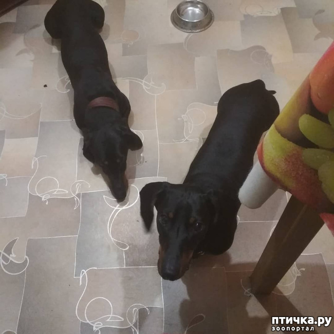  1:   ""