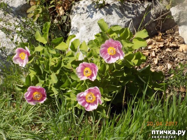 ���� 41: ����������� � ��� ������. ������ ���� ��������� ���������������.