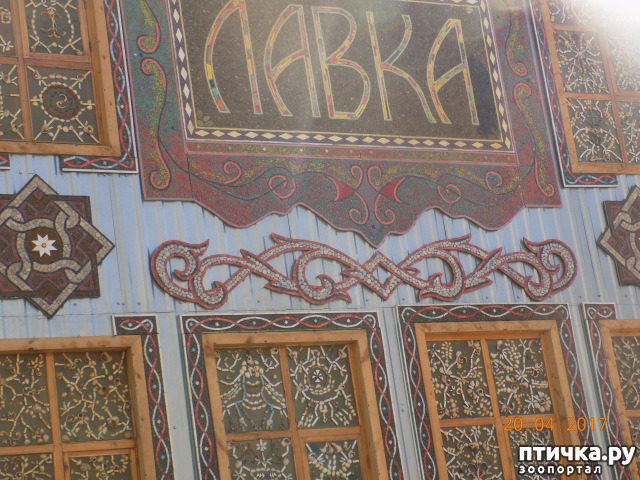 ���� 24: ����������� � ��� ������. ������ ���� ��������� ���������������.